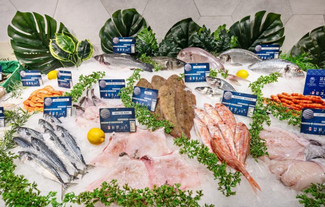 ESCAPADE-02.2025-065