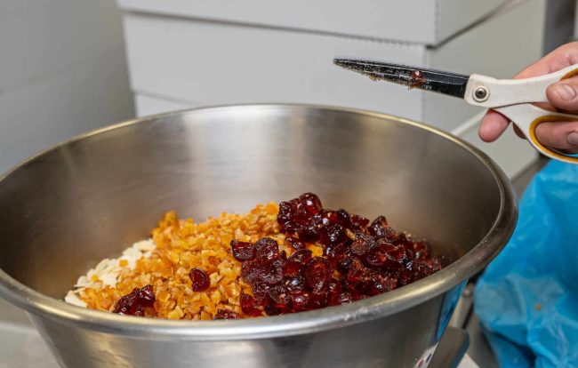 ESCAPADE-02.2025-114