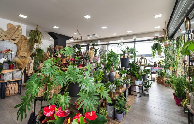 ESCAPADE-02.2025-123