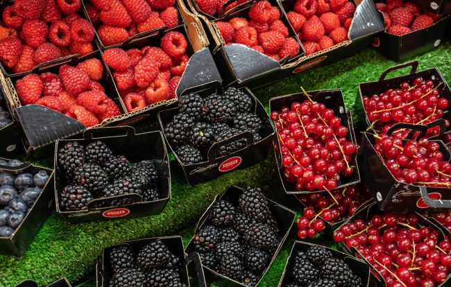 ESCAPADE-02.2025-139