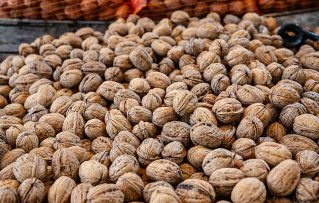 ESCAPADE-02.2025-140